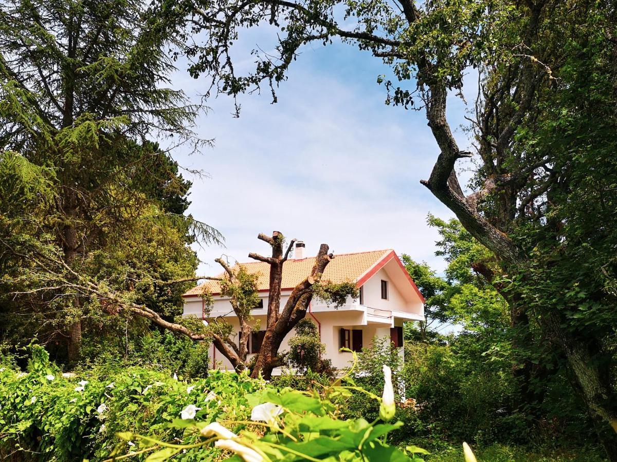 Locanda Sottobosco ξενώνας San Leonardo de Siete Fuentes Εξωτερικό φωτογραφία